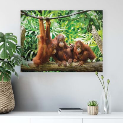 Animals and Living (2600CV) - Image 4