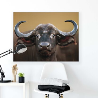 Animals and Living (2601CV) - Image 2