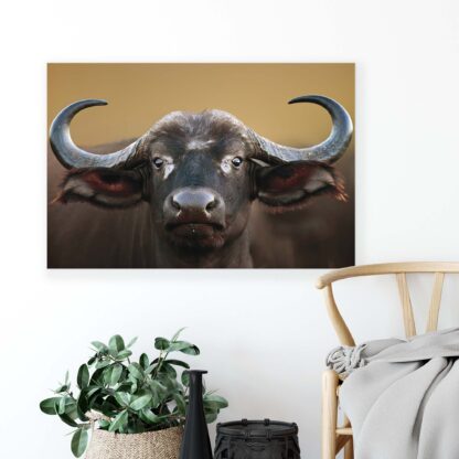 Animals and Living (2601CV) - Image 3