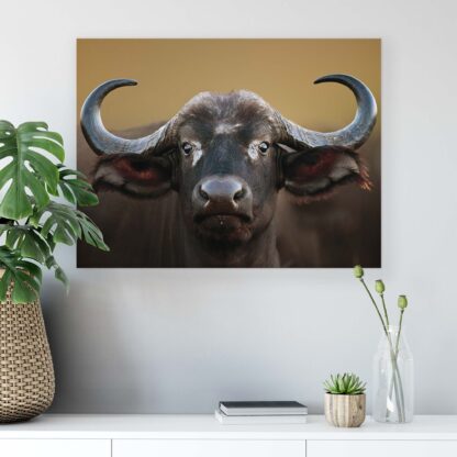 Animals and Living (2601CV) - Image 4