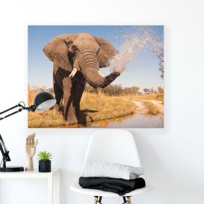 Animals and Living (2602CV) - Image 2