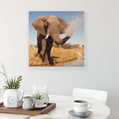 Animals and Living (2602CV) - Image 3