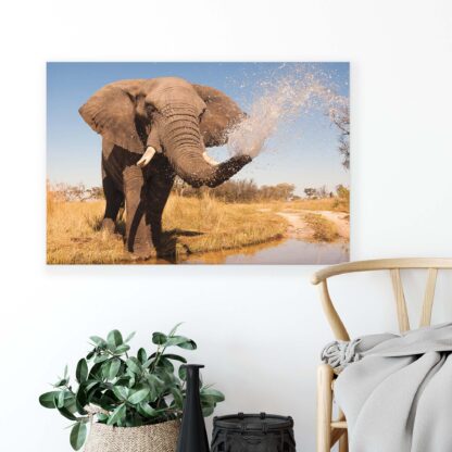 Animals and Living (2602CV) - Image 4