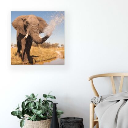 Animals and Living (2602CV) - Image 5