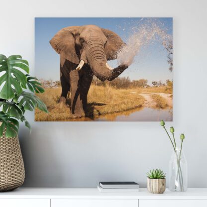 Animals and Living (2602CV) - Image 6