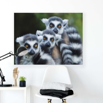 Animals and Living (2603CV) - Image 2