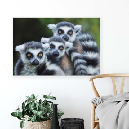 Animals and Living (2603CV) - Image 3