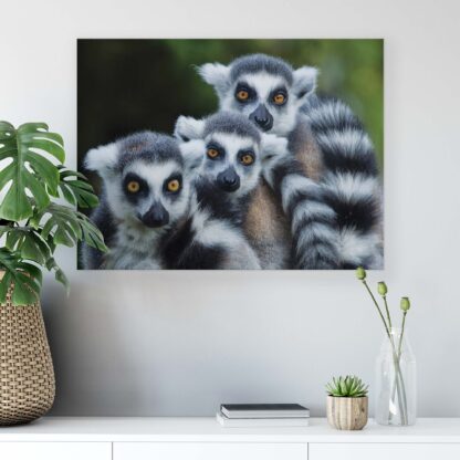 Animals and Living (2603CV) - Image 4