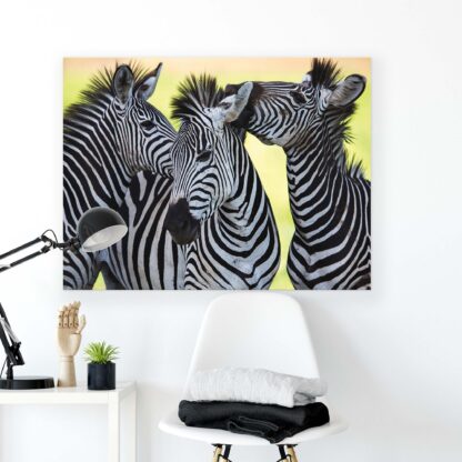 Animals and Living (2612CV) - Image 2