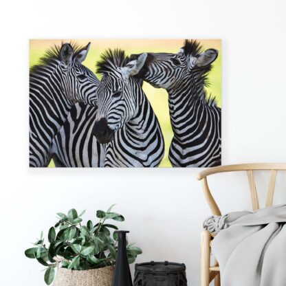 Animals and Living (2612CV) - Image 3