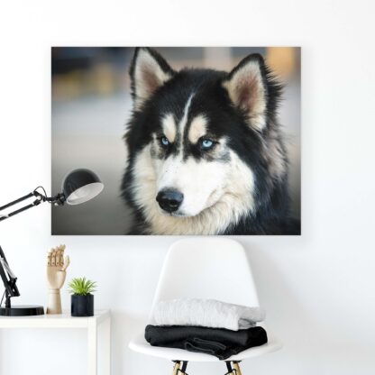 Animals and Living (2673CV) - Image 2