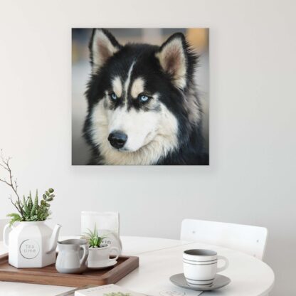 Animals and Living (2673CV) - Image 3