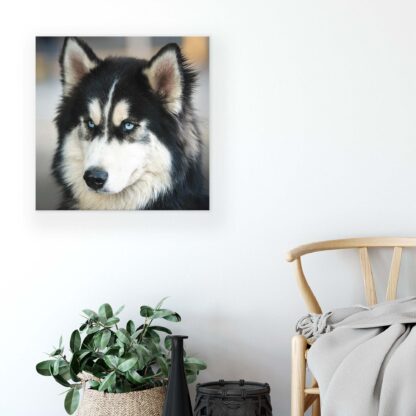 Animals and Living (2673CV) - Image 5