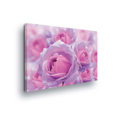 Modern Flowers, Nature, and Swirls (2679CV)