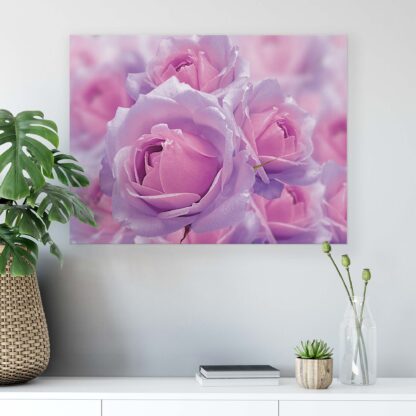 Modern Flowers, Nature, and Swirls (2679CV) - Image 6