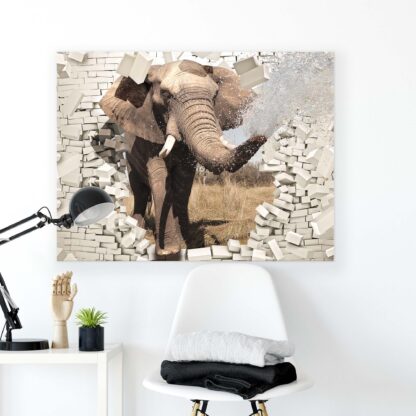 Animals and Living (2685CV) - Image 2