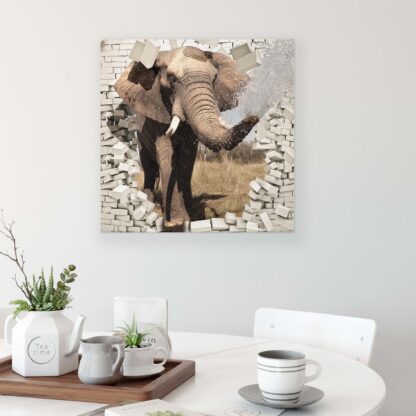 Animals and Living (2685CV) - Image 3