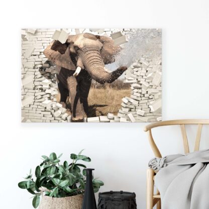Animals and Living (2685CV) - Image 4