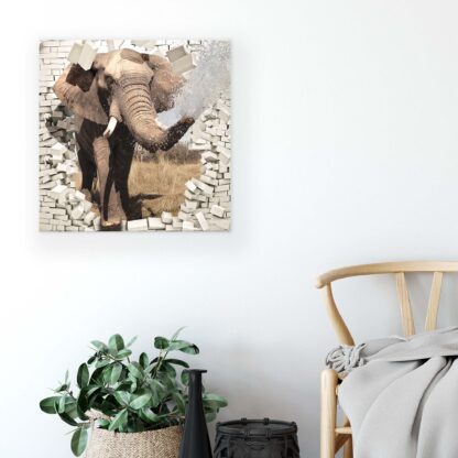 Animals and Living (2685CV) - Image 5