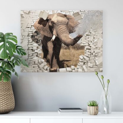 Animals and Living (2685CV) - Image 6