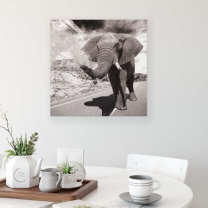 Animals and Living (2686CV) - Image 3