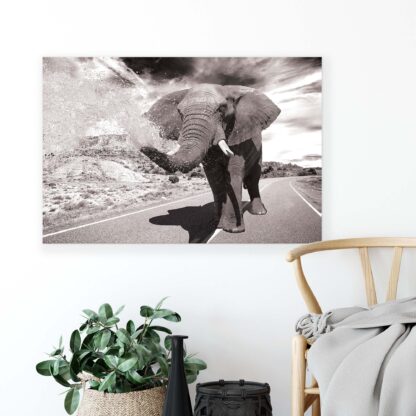 Animals and Living (2686CV) - Image 4