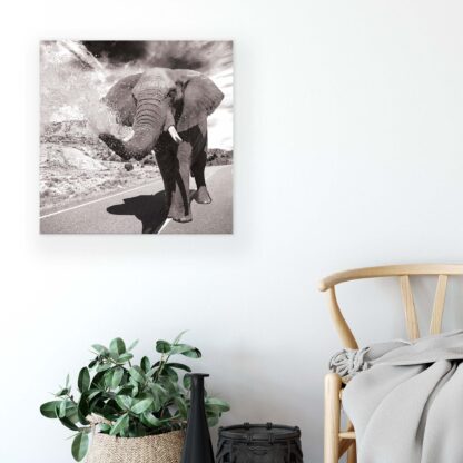 Animals and Living (2686CV) - Image 5