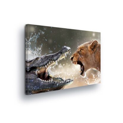 Animals and Living (2733CV)
