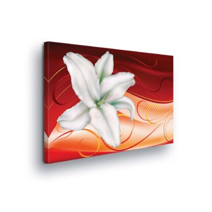 Modern Flowers, Nature, and Swirls (303CV)
