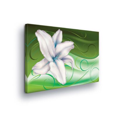 Modern Flowers, Nature, and Swirls (305CV)