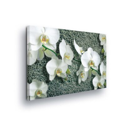 Flowers (413CV)