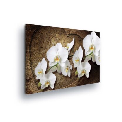 Flowers (417CV)