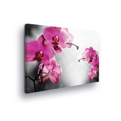 Flowers (421CV)