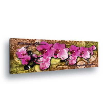 Modern Flowers, Nature, and Swirls (454CV)