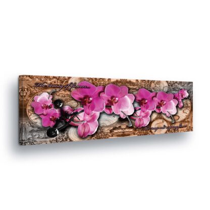 Modern Flowers, Nature, and Swirls (455CV)