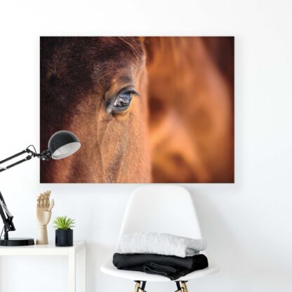 Horses and Unicorns (495CV) - Image 2