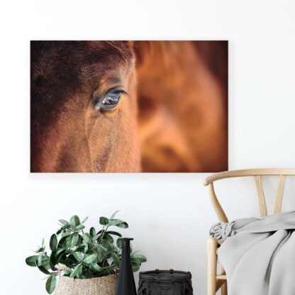 Horses and Unicorns (495CV) - Image 4