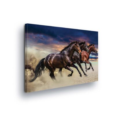 Horses and Unicorns (496CV)