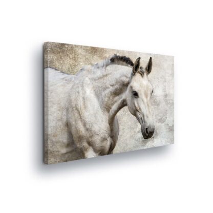 Horses and Unicorns (497CV)