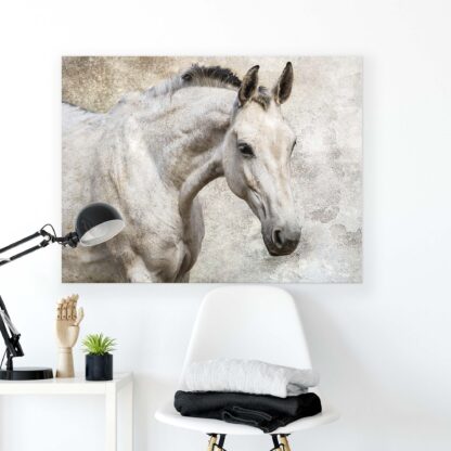 Horses and Unicorns (497CV) - Image 2