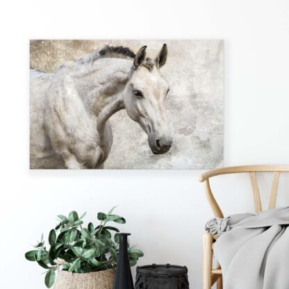 Horses and Unicorns (497CV) - Image 4