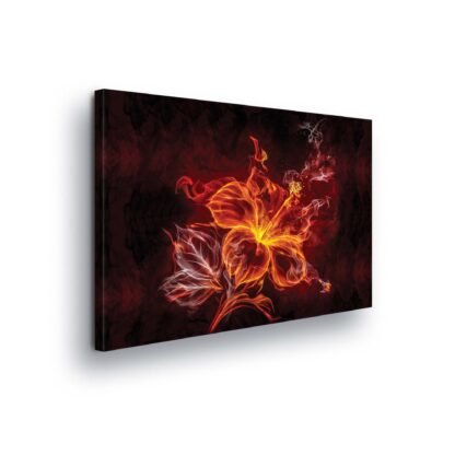 Modern Flowers, Nature, and Swirls (509CV)