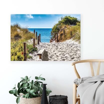 Beach and Coastal (514CV) - Image 3