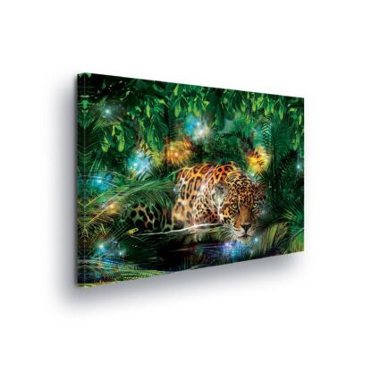 Animals and Living (559CV)