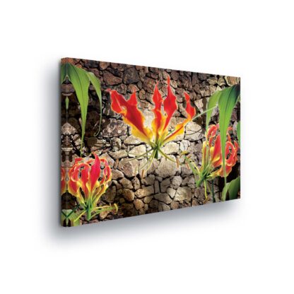 Modern Flowers, Nature, and Swirls (619CV)