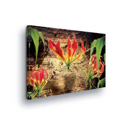 Modern Flowers, Nature, and Swirls (620CV)