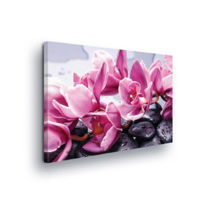 Flowers (853CV)