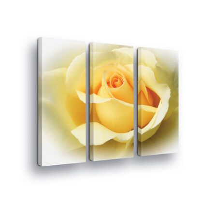 Flowers (907CV)