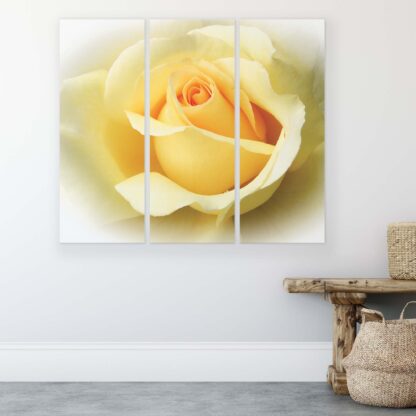 Flowers (907CV) - Image 2