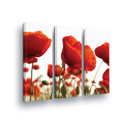 Flowers (918CV)